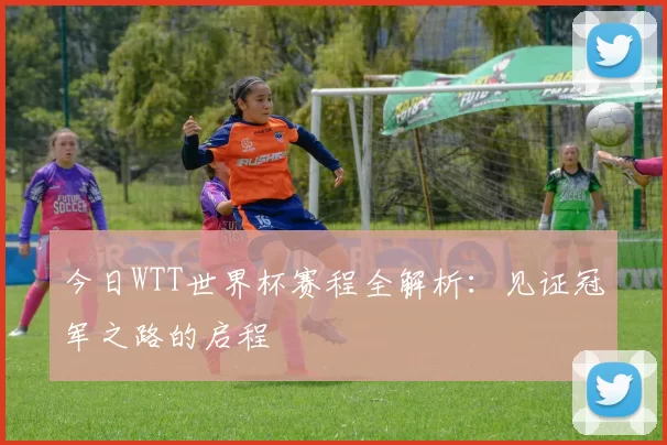 今日WTT世界杯赛程全解析：见证冠军之路的启程