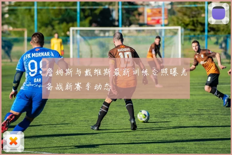 詹姆斯与戴维斯最新训练合照曝光备战新赛季动态