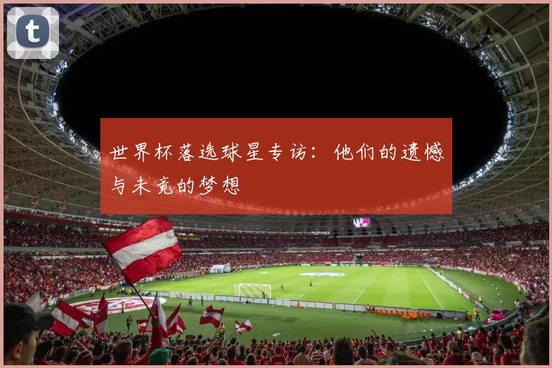 世界杯落选球星专访:他们的遗憾与未竟的梦想
