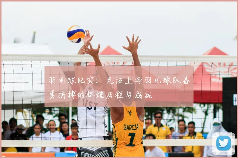 羽毛球纪实：见证上海羽毛球队奋勇拼搏的辉煌历程与成就