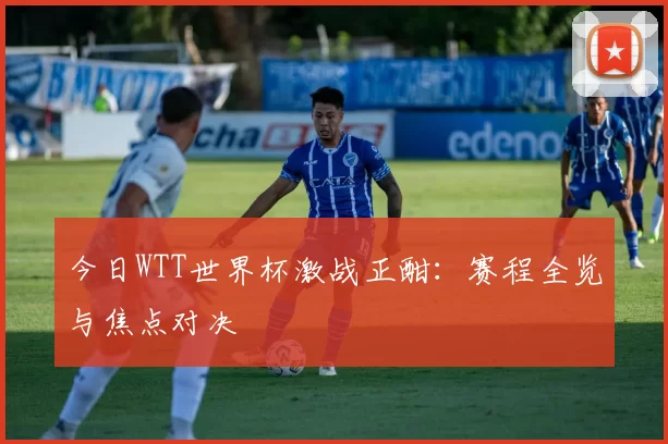 今日WTT世界杯激战正酣：赛程全览与焦点对决