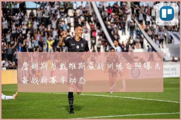 詹姆斯与戴维斯最新训练合照曝光备战新赛季动态