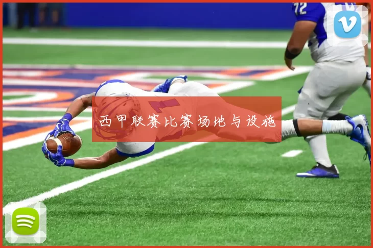 西甲联赛比赛场地与设施