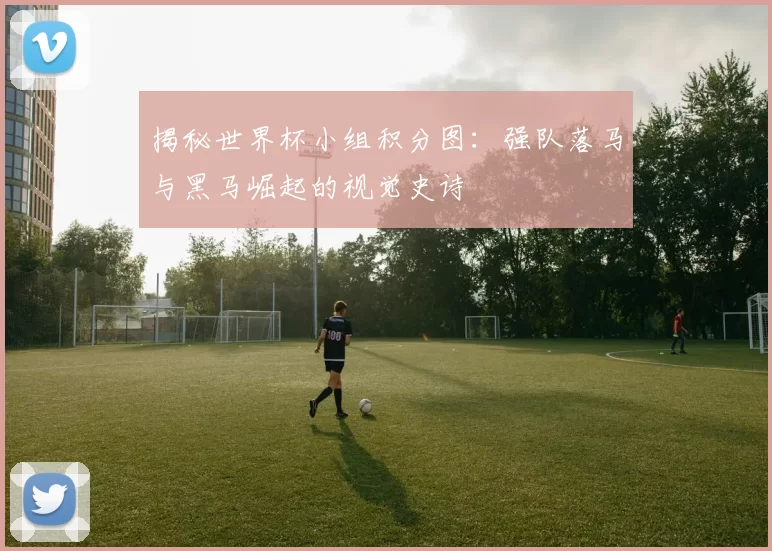 揭秘世界杯小组积分图：强队落马与黑马崛起的视觉史诗