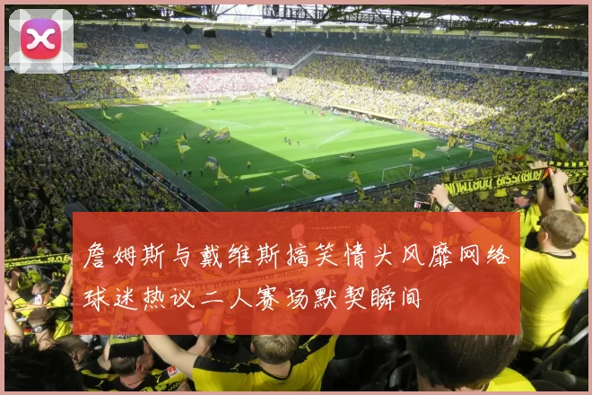 詹姆斯与戴维斯搞笑情头风靡网络球迷热议二人赛场默契瞬间