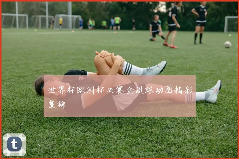 世界杯欧洲杯决赛全进球动图精彩集锦