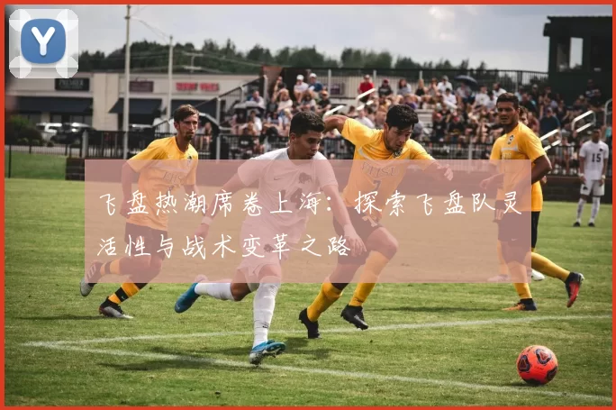 飞盘热潮席卷上海：探索飞盘队灵活性与战术变革之路