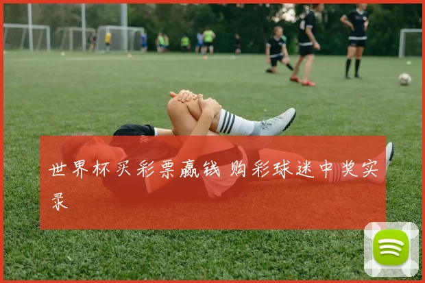 世界杯买彩票赢钱 购彩球迷中奖实录