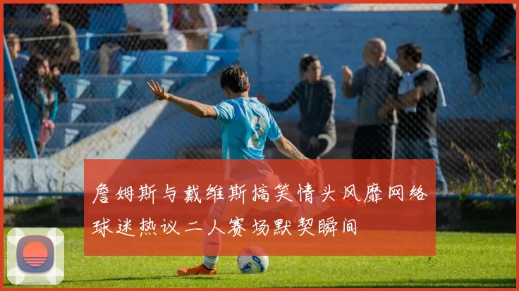 詹姆斯与戴维斯搞笑情头风靡网络球迷热议二人赛场默契瞬间