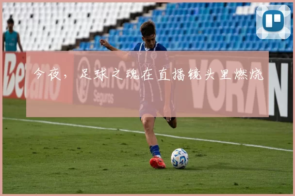 今夜,足球之魂在直播镜头里燃烧