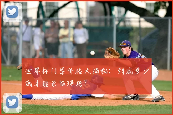 世界杯门票价格大揭秘：到底多少钱才能亲临现场？