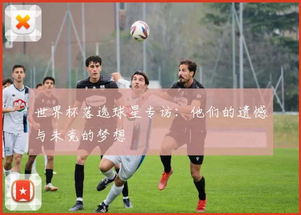 世界杯落选球星专访：他们的遗憾与未竟的梦想